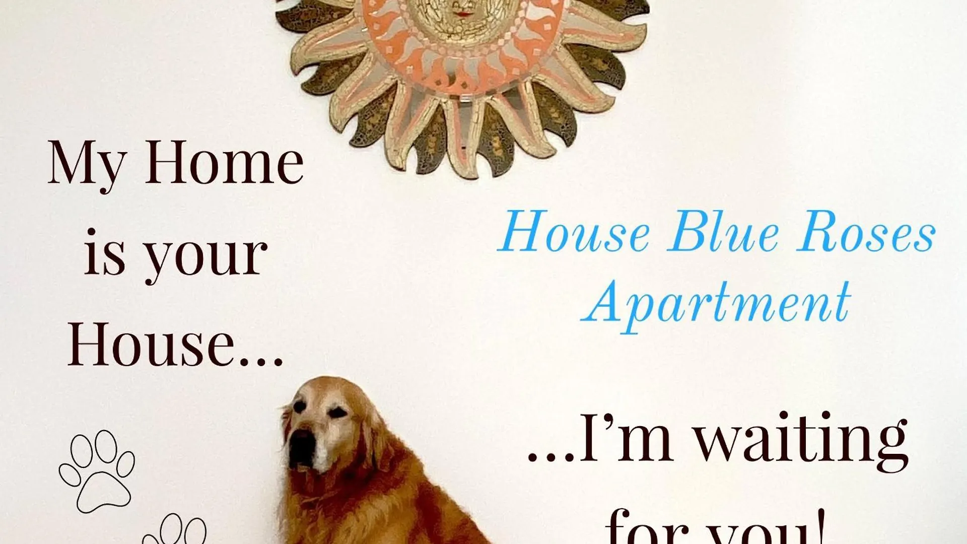 House Blue Roses Apartment Your Temptation In Puglia Bari Italy